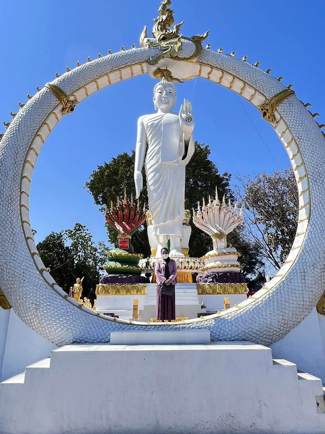 พญานาคประทานพร วัดหัวเวียงรังษี ธาตุพนม