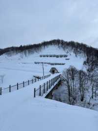 Gala Yuzawa ❄️⛄️⛷️