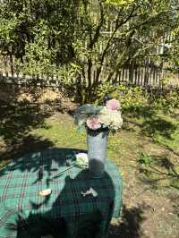 สวนส้มของฉัน my garden
