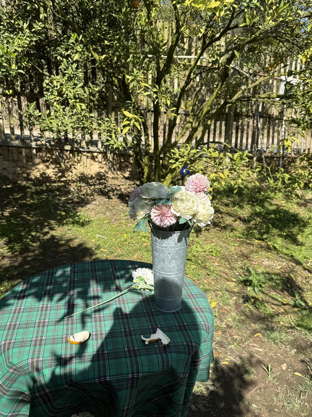 สวนส้มของฉัน my garden