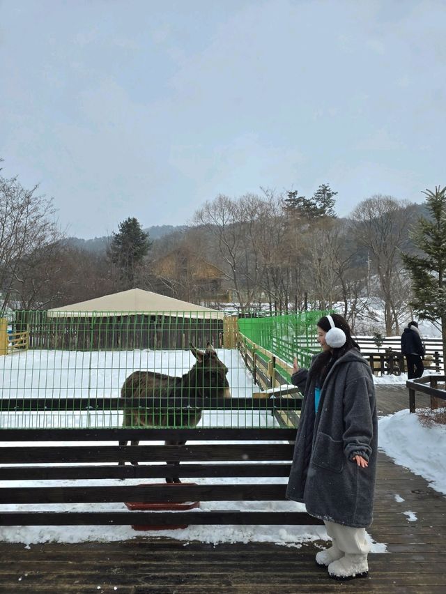 무료로 즐기는 동물농장이 있는 프렌치가든🤍
