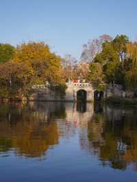 A Perfect Day at Cuihu Park (翠湖) – My Favorite Kunming Itinerary