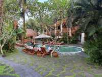 Alaya Resort Ubud——泳池小孩玩瘋了