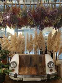 Secret Garden in the Heart of Orchard: A Hidden Oasis for Pampering and Cafe Hopping