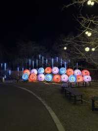 【埼玉県/秩父】楽しめるのはあとわずか！光で照らされれ秩父の夜