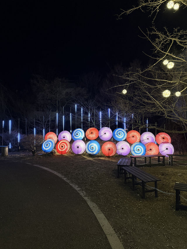 【埼玉県/秩父】楽しめるのはあとわずか！光で照らされれ秩父の夜
