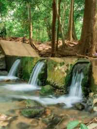 น้ำผุดธรรมชาติเขาใหญ่ , ปากช่อง