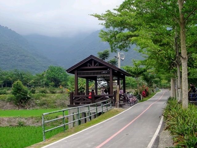 騎單車逍遙遊花東-關山環鎮自行車道