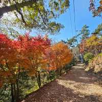 【釜山】這裡擁有多條海岸步道，能夠欣賞南海的壯闊景色。
