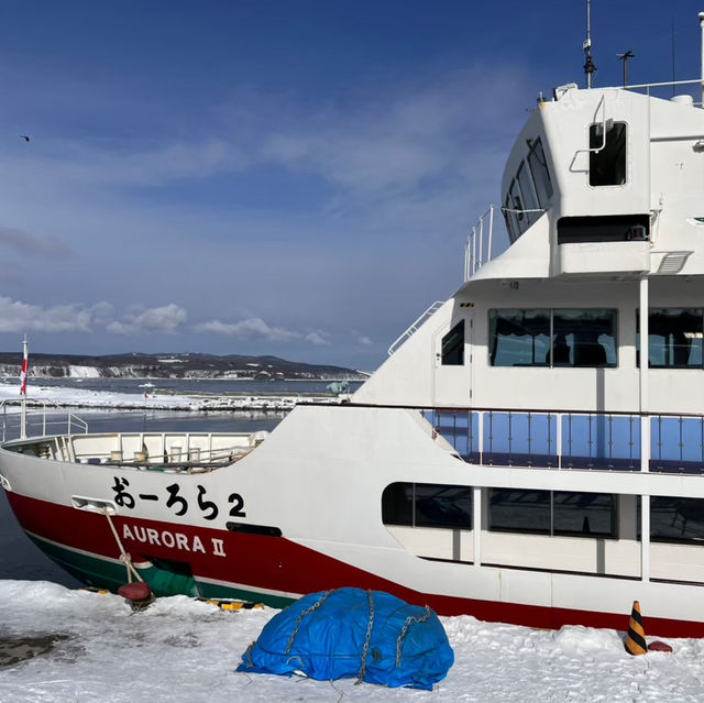 【北海道】知床の絶景を堪能！オーロラ号で迫力の流氷クルーズ