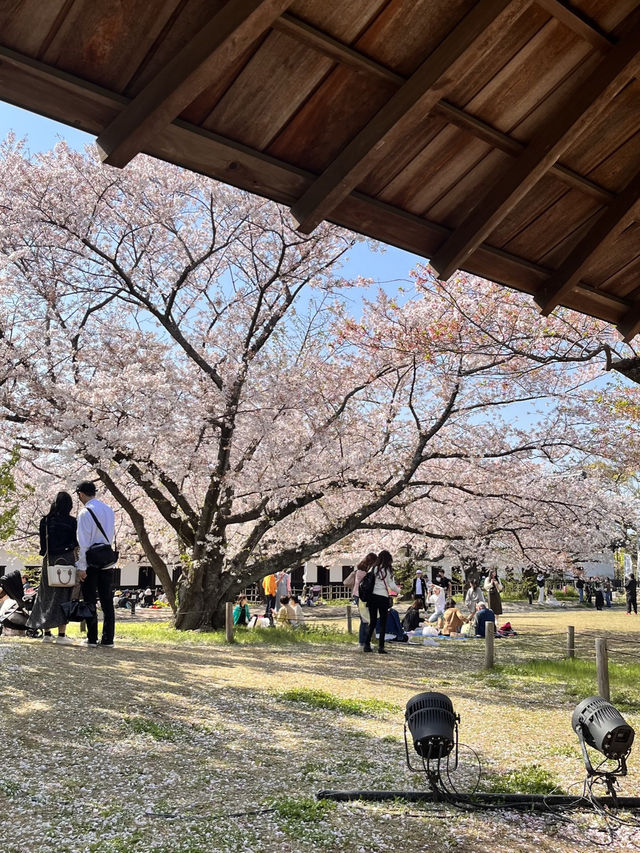 🏯 福岡城跡（舞鶴公園內）