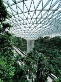 “Jewel Changi: Nature Meets Architecture in a Green Paradise”