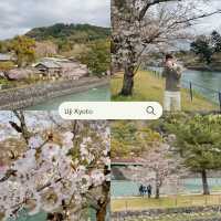 แจกแพลนดูซากุระที่โอซาก้า เกียวโต 🌸🍡🇯🇵