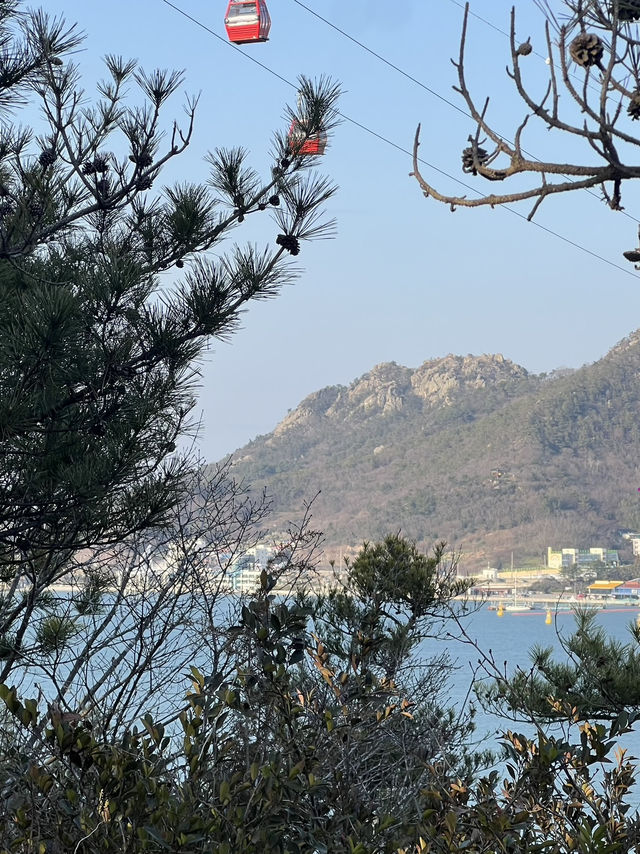 Mokpo Cable Car (Crystal Cabin) 🚡