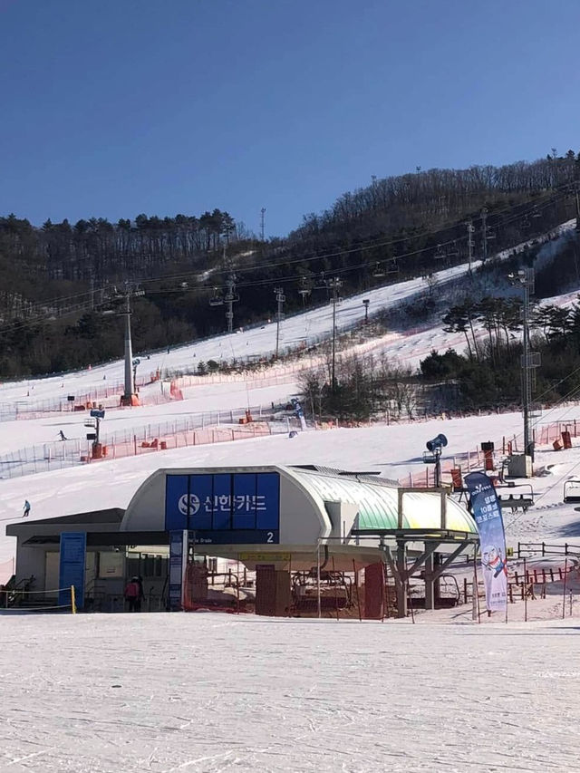 Alpensia Pyeongchang: A Perfect Winter Escape 