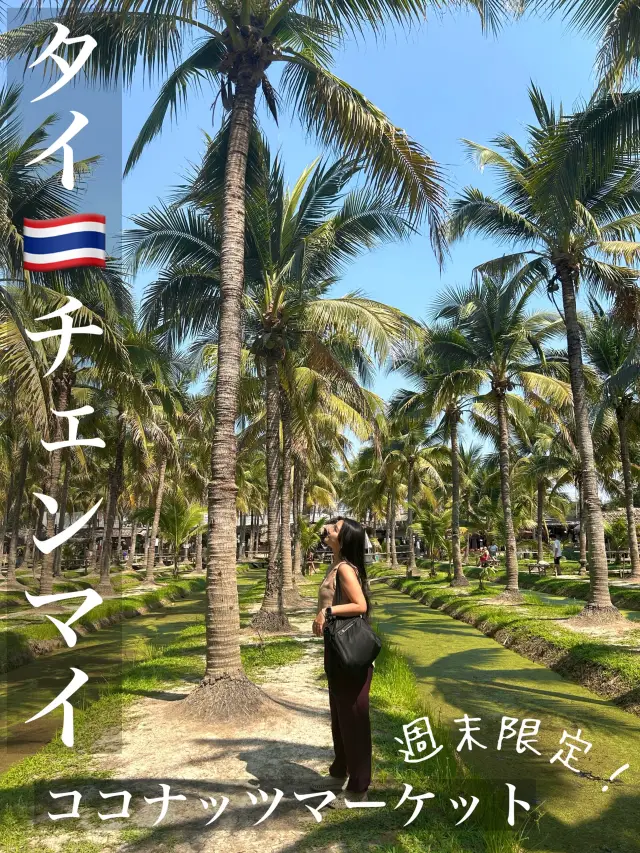【週末限定！】清邁椰子市集