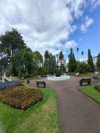 林木茂密古樹參天打卡的Albert Park