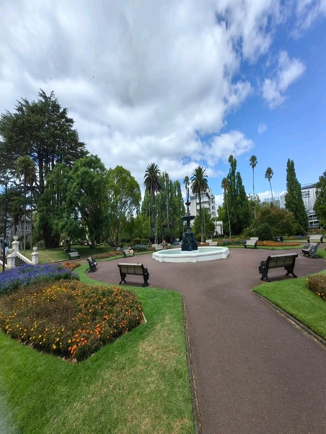 林木茂密古樹參天打卡的Albert Park