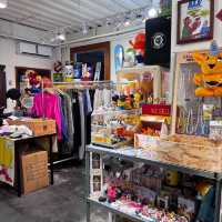 新富町文化市場～文創小店裡發現生活驚喜🏪✨