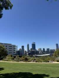 Kings Park Adventure: Nature, Views & Culture