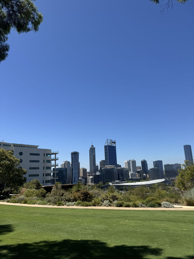 Kings Park Adventure: Nature, Views & Culture