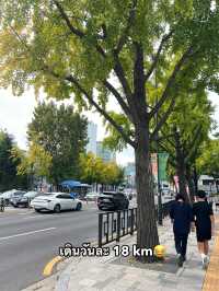 Trip 5 Day in KOREA🇰🇷 [ฉบับไปติ่ง😂]