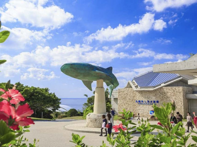 水中生物的邂逅～美麗海水族館
