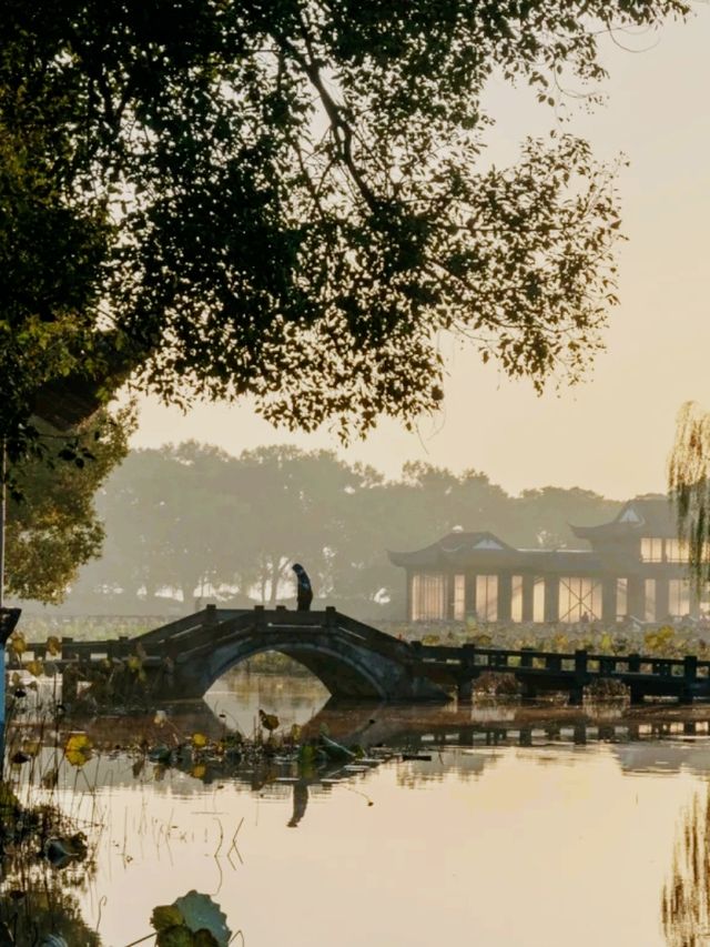 Quyuan Fenghe