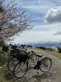 豐島檀山