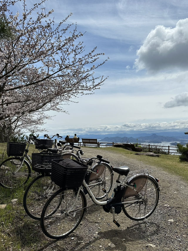 豐島檀山