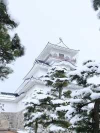 ปราสาทโทยามะ Toyama Castle Ruins