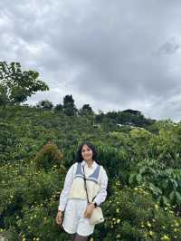 Tam Trinh Coffee in Da Lat 
