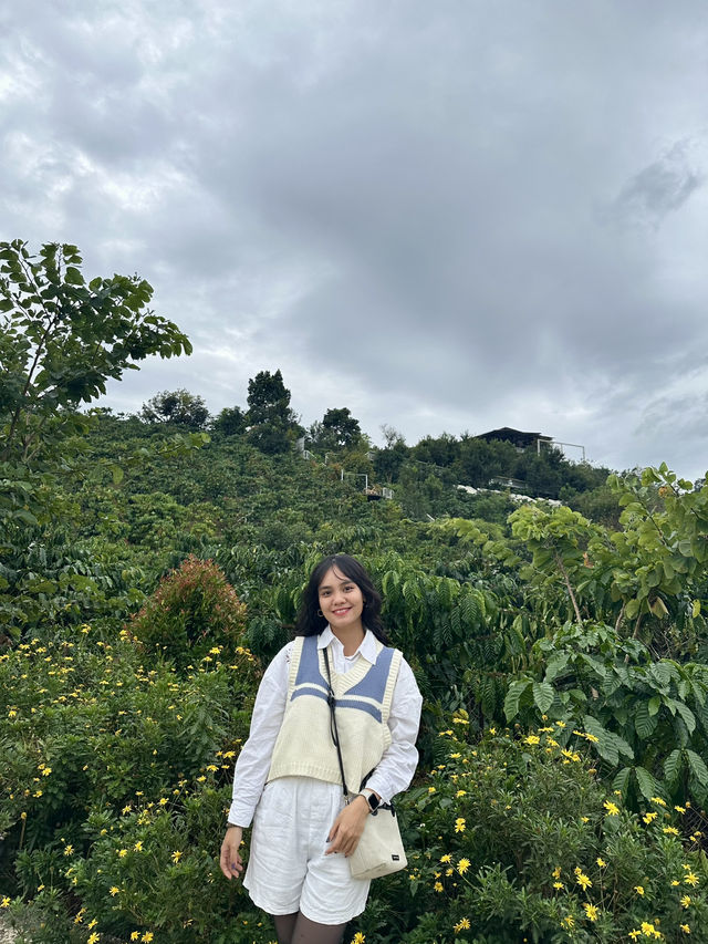 Tam Trinh Coffee in Da Lat 