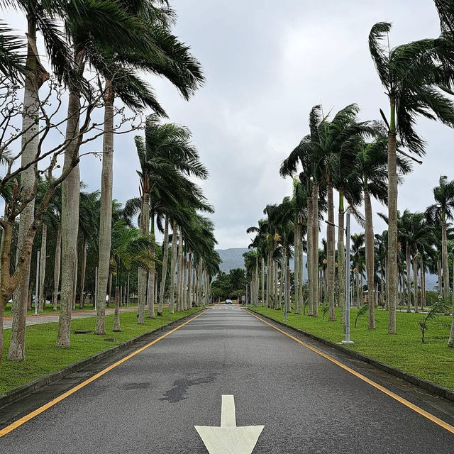 國立東華大學