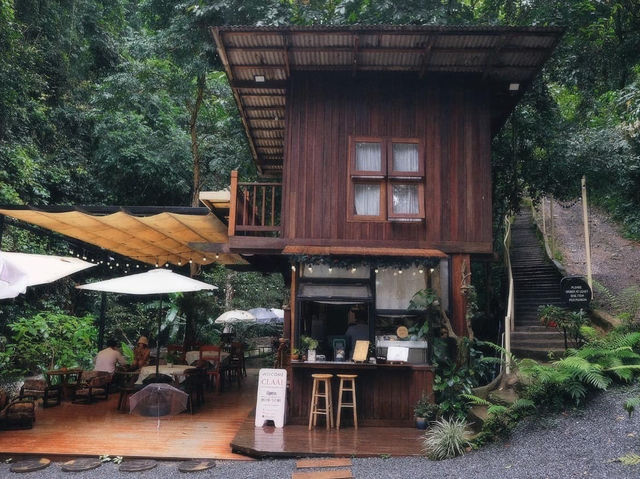คาเฟ่เชียงใหม่