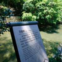屏南萬安橋寫生：彩虹吃飽打嗝了