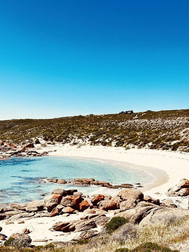 South Australia Road Trip: Sydney to SA🚗🏝️   
