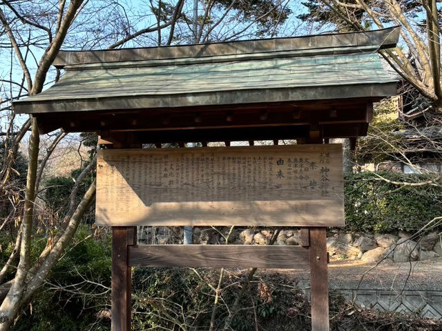 🇯🇵【香川県】重要文化財！神谷神社⛩️(^^)