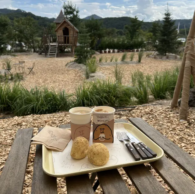 【春川】🇰🇷 ジャガイモ畑