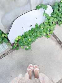 Ing Craft Toast Cafe & Backyard : คาเฟ่ฝั่งธนบุรี