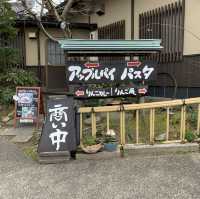 【朝倉】🇯🇵 林檎と葡萄の樹