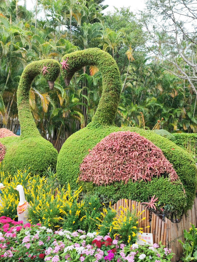 漫步士林官邸公園：歷史與花海的驚艷邂逅 🌸