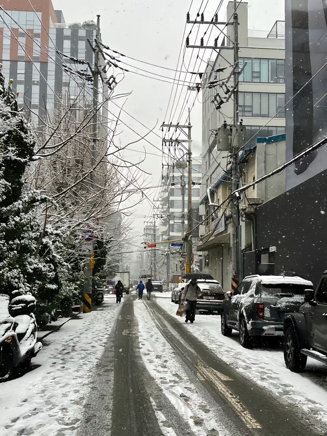體驗在雪中漫步🥰首爾行程攻略❤️‍🔥
