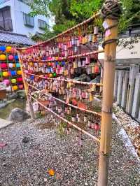 如果你愛拍照📸📷，這個別小江神社你必去！！