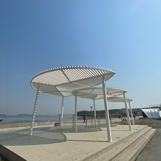 FEFU campus - the best student city by the sea in Russia