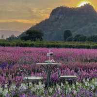 Audrey Hobby Farm • Khaoyai ⛅️🏡🌷⛲️✨
