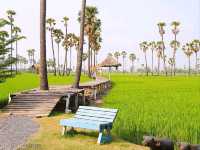 พักผ่อนใกล้กรุงฯ กับคาเฟ่วิวดงตาล 🌴🤩