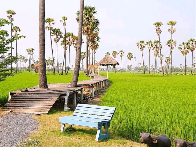 พักผ่อนใกล้กรุงฯ กับคาเฟ่วิวดงตาล 🌴🤩