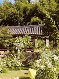 A Hidden Gem for Spring Photography!