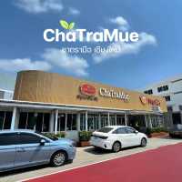 🌱ชาตรามือ ChaTraMue [เชียงใหม่]
